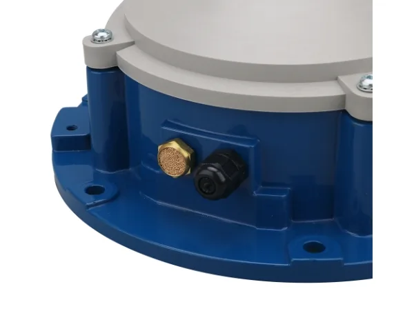 Manómetro - IPM - Imagen 2